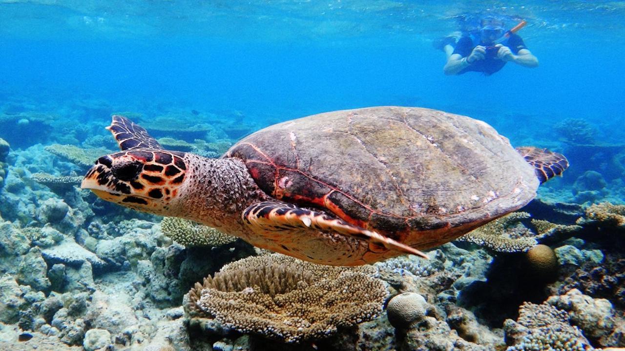 Dharavandhoo Stay Exteriör bild