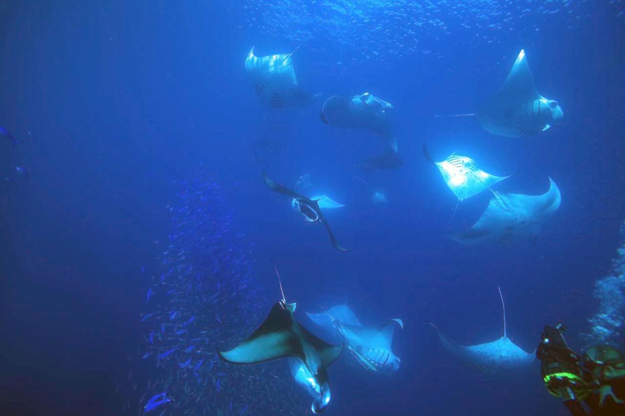 Dharavandhoo Stay Exteriör bild