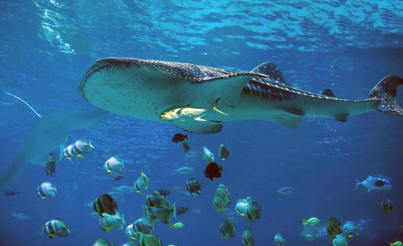 Dharavandhoo Stay Exteriör bild