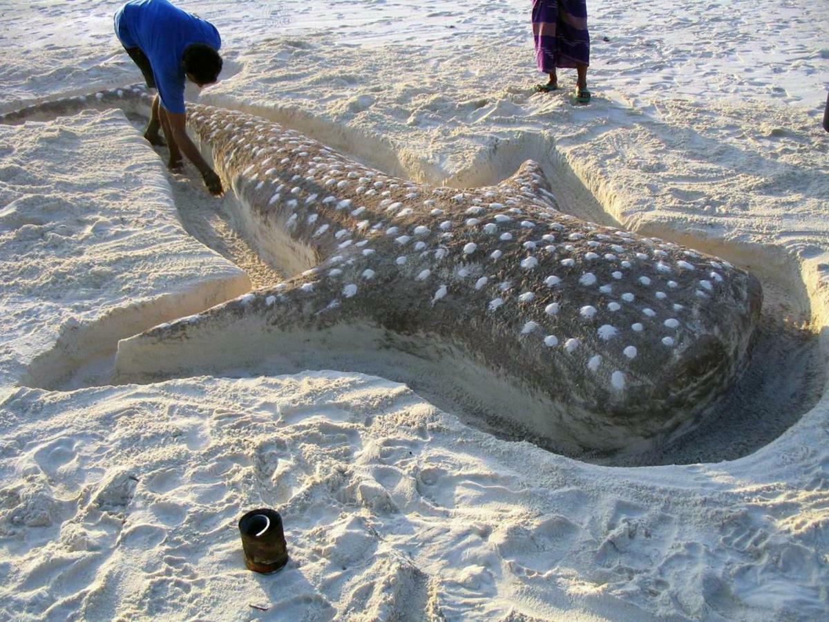 Dharavandhoo Stay Exteriör bild